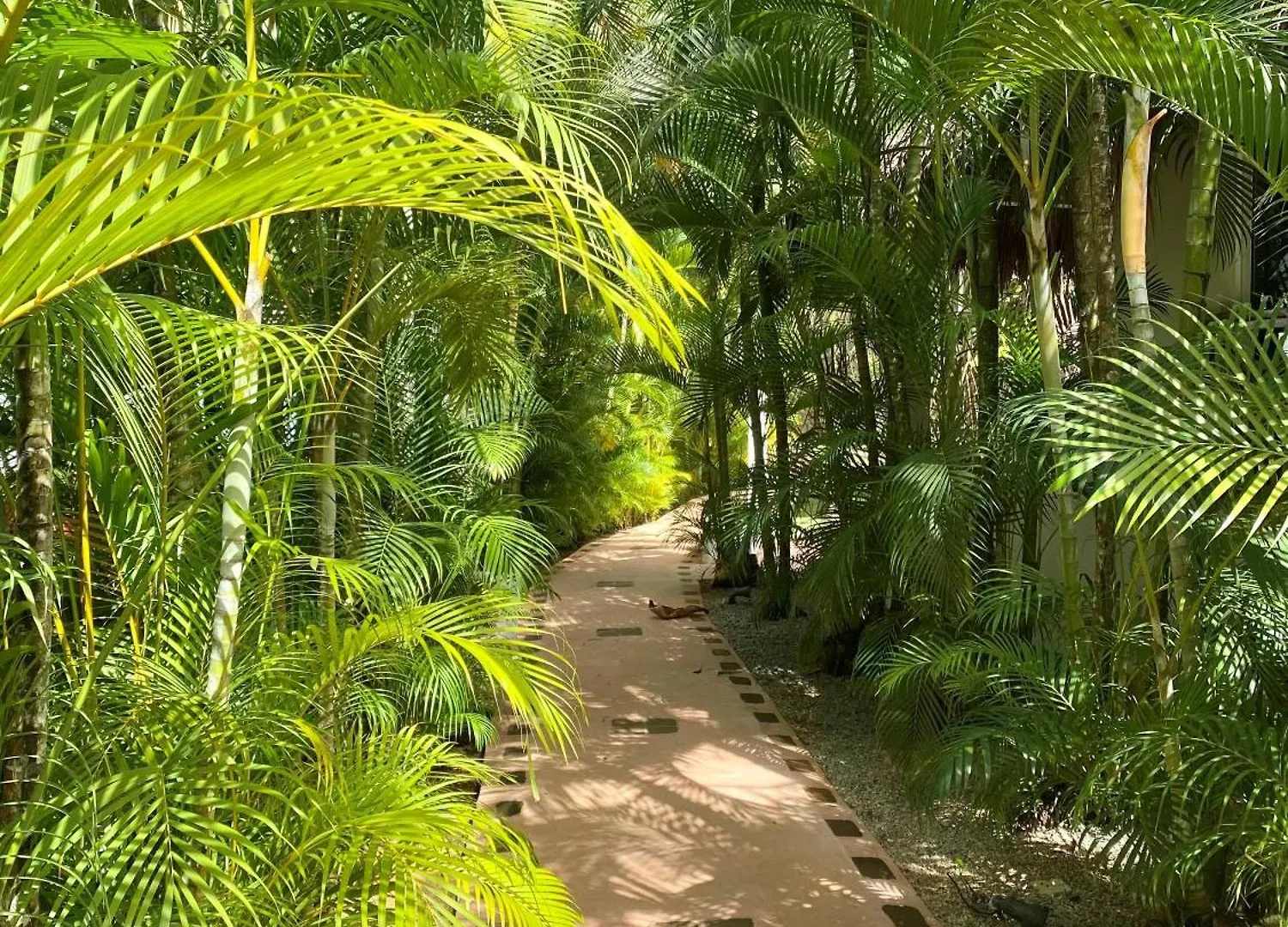 Chalet Tropical Au Coeur De Las Terrenas